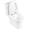 Унитаз-компакт безободковый BELBAGNO BB130CPR/BB130T