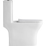Унитаз-моноблок BELBAGNO NEON с сиденьем дюропласт soft close, P-trap BB8617CPR-MN/SC
