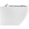 Унитаз подвесной безободковый BELBAGNO BB514CHR/BB1077SC