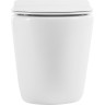 Унитаз приставной безободковый BELBAGNO BB2141CBR/BB2111SC